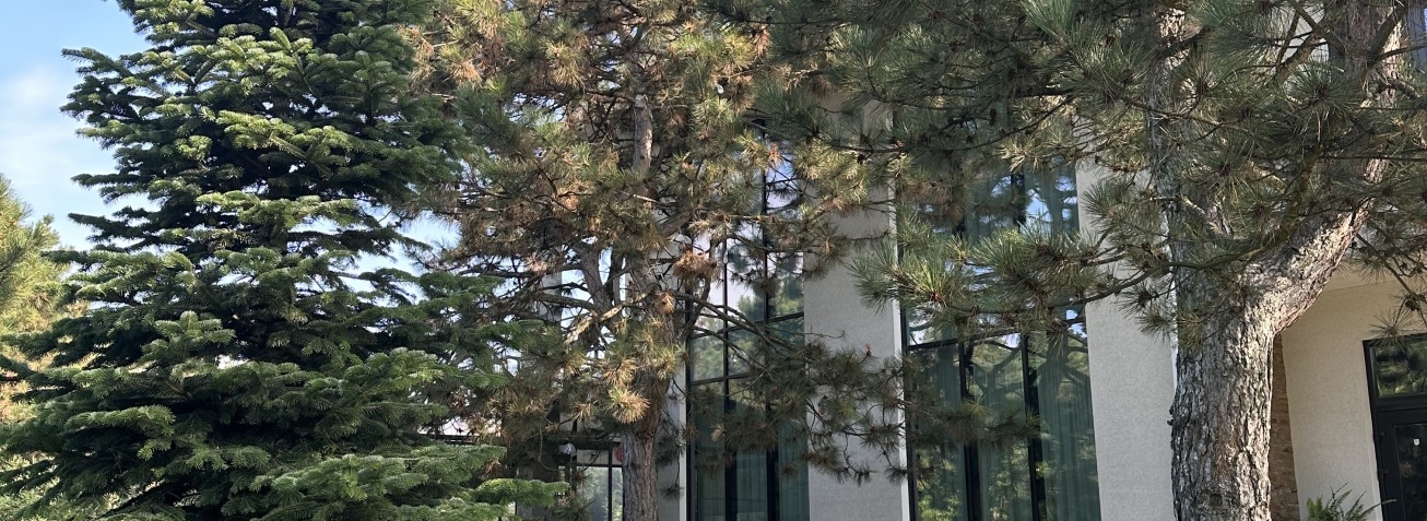 Почему самостоятельная продажа элитного дома в Одессе оборачивается годами ожидания